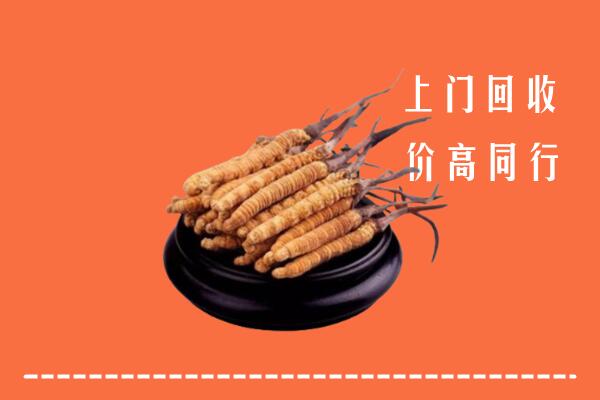 高价求购：广元青川县回收散虫草